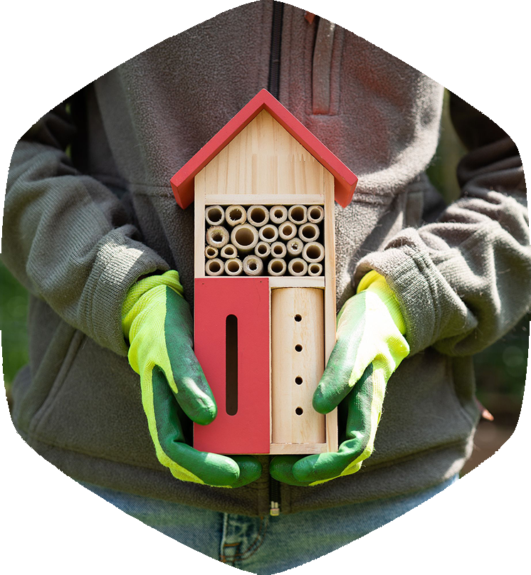 Bouw je eigen insectenhotel voor bestuivers in jouw tuin