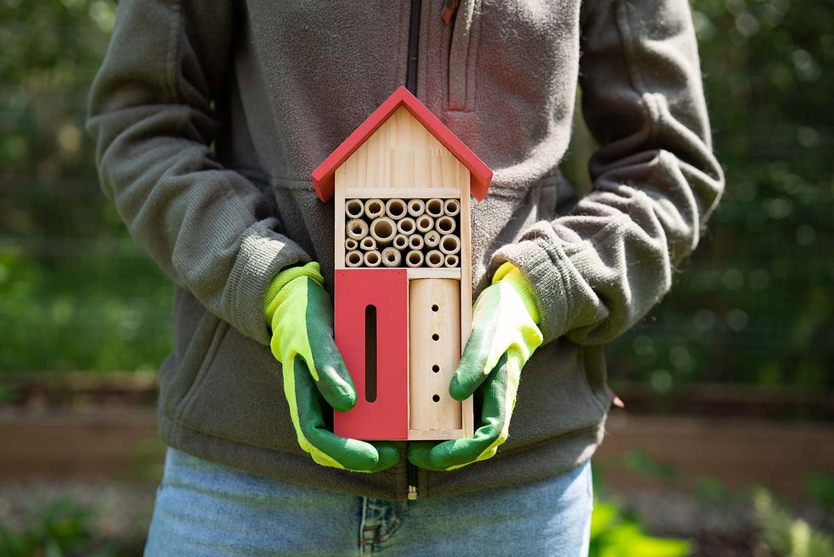 Bouw je eigen insectenhotel voor bestuivers in jouw tuin